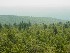 View from Olson Lookout Tower